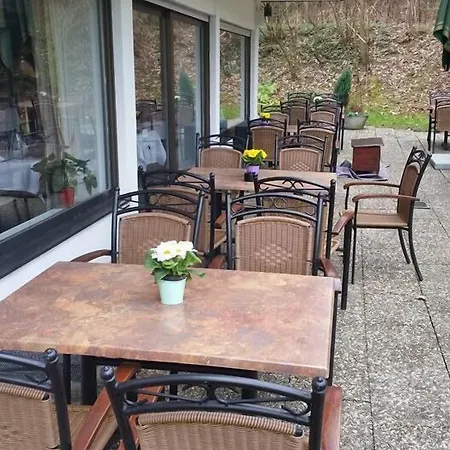 Der Watzenhof Hotel Hemsbach